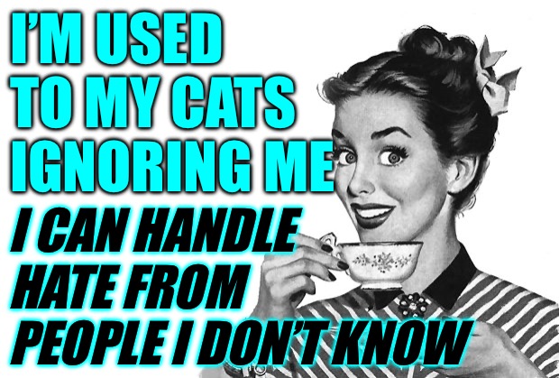 1950s Housewife | I’M USED TO MY CATS IGNORING ME I CAN HANDLE HATE FROM PEOPLE I DON’T KNOW | image tagged in 1950s housewife | made w/ Imgflip meme maker