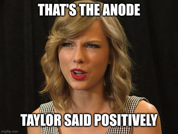 Taylor Swiftie | THAT'S THE ANODE TAYLOR SAID POSITIVELY | image tagged in taylor swiftie | made w/ Imgflip meme maker