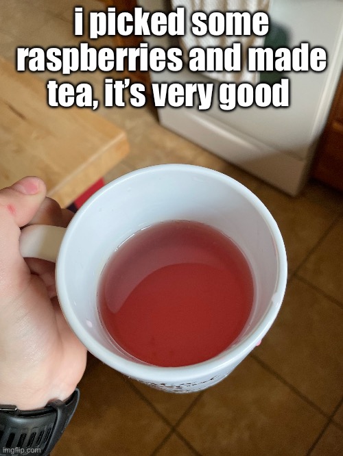 I FUCKING LOVE MAKING TEAS NEW HOBBY | i picked some raspberries and made tea, it’s very good | made w/ Imgflip meme maker