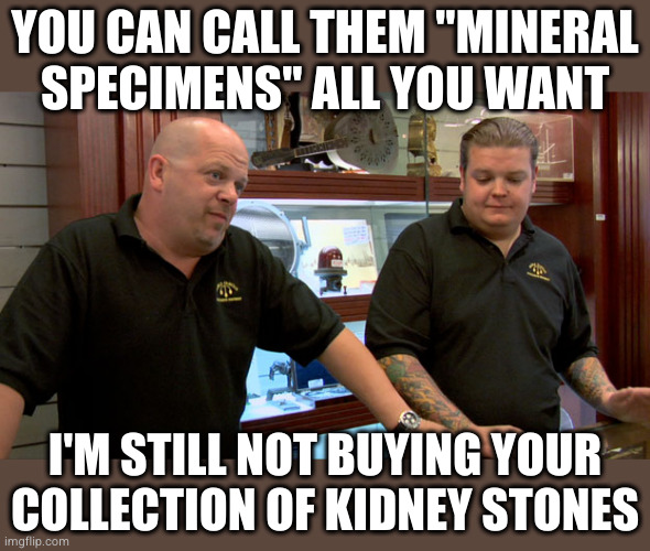 before you even ask, I'm not interested in any of your other collections either | YOU CAN CALL THEM "MINERAL SPECIMENS" ALL YOU WANT; I'M STILL NOT BUYING YOUR COLLECTION OF KIDNEY STONES | image tagged in pawn stars best i can do | made w/ Imgflip meme maker