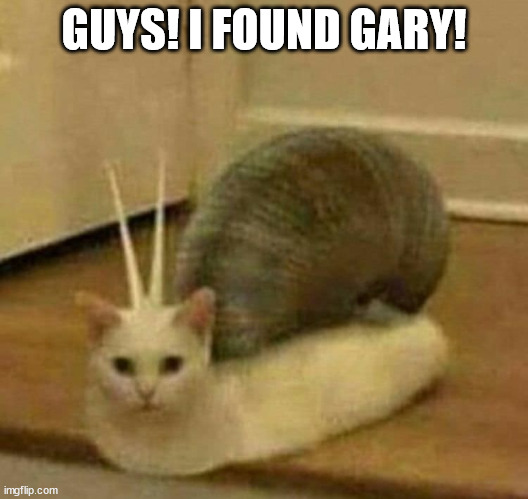 cat snail | GUYS! I FOUND GARY! | image tagged in cat snail,cursed,spongebob | made w/ Imgflip meme maker