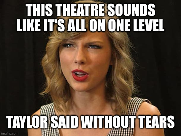 Taylor Swiftie | THIS THEATRE SOUNDS LIKE IT'S ALL ON ONE LEVEL TAYLOR SAID WITHOUT TEARS | image tagged in taylor swiftie | made w/ Imgflip meme maker