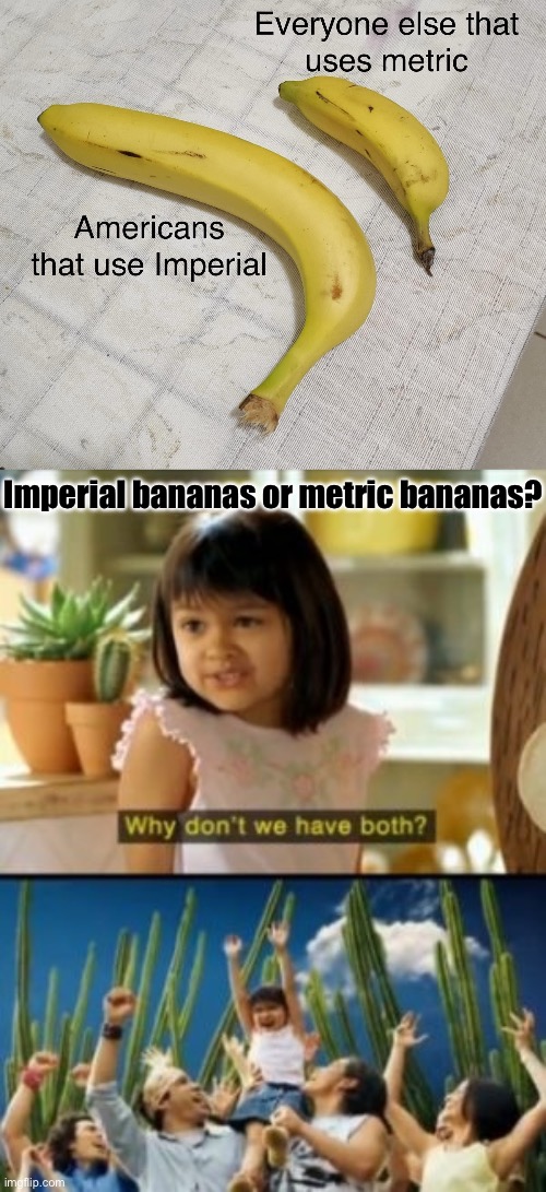 Imperial bananas or metric bananas? | image tagged in memes,why not both | made w/ Imgflip meme maker