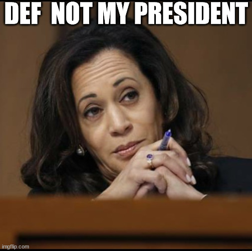 What a BONEHEAD! | DEF  NOT MY PRESIDENT | image tagged in kamala harris,yeah right,not  president for sure,dream on | made w/ Imgflip meme maker