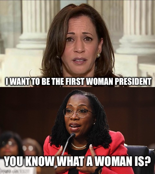 Woman | I WANT TO BE THE FIRST WOMAN PRESIDENT; YOU KNOW WHAT A WOMAN IS? | image tagged in kamala harris,ketanji brown jackson,women,woman,politics,political meme | made w/ Imgflip meme maker