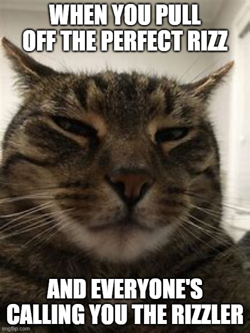 rizzler cat | WHEN YOU PULL OFF THE PERFECT RIZZ; AND EVERYONE'S CALLING YOU THE RIZZLER | image tagged in rizz,jawline | made w/ Imgflip meme maker