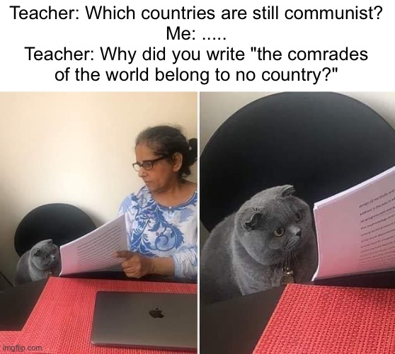 It's true though | Teacher: Which countries are still communist?
Me: .....
Teacher: Why did you write "the comrades of the world belong to no country?" | image tagged in woman showing paper to cat,communist,communism,countries | made w/ Imgflip meme maker