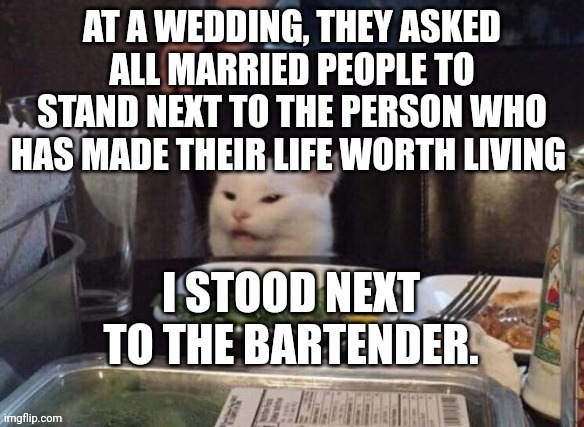 Smudge that darn cat | AT A WEDDING, THEY ASKED ALL MARRIED PEOPLE TO STAND NEXT TO THE PERSON WHO HAS MADE THEIR LIFE WORTH LIVING; I STOOD NEXT TO THE BARTENDER. | image tagged in smudge that darn cat | made w/ Imgflip meme maker