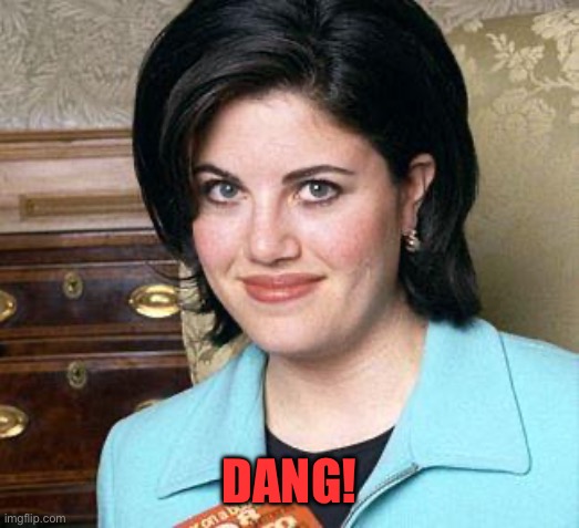 Monica Lewinsky | DANG! | image tagged in monica lewinsky | made w/ Imgflip meme maker