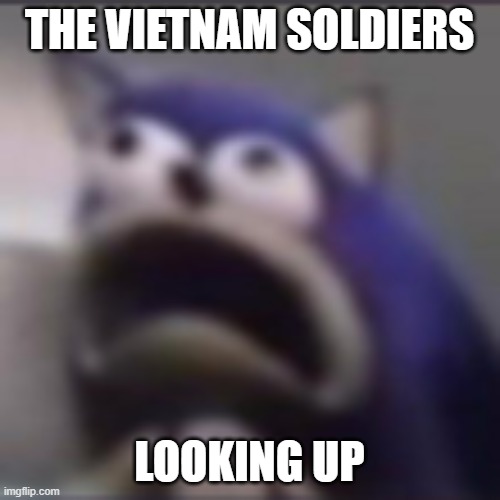 distress | THE VIETNAM SOLDIERS LOOKING UP | image tagged in distress | made w/ Imgflip meme maker