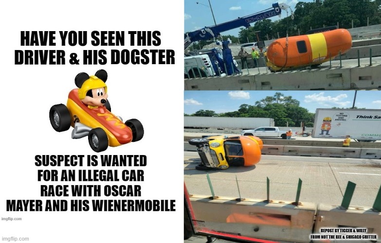 REPOST BY TIGGER & WILLY FROM NOT THE BEE & CHICAGO CRITTER | made w/ Imgflip meme maker