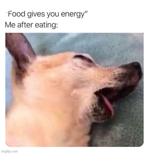 image tagged in food,energy,tired | made w/ Imgflip meme maker