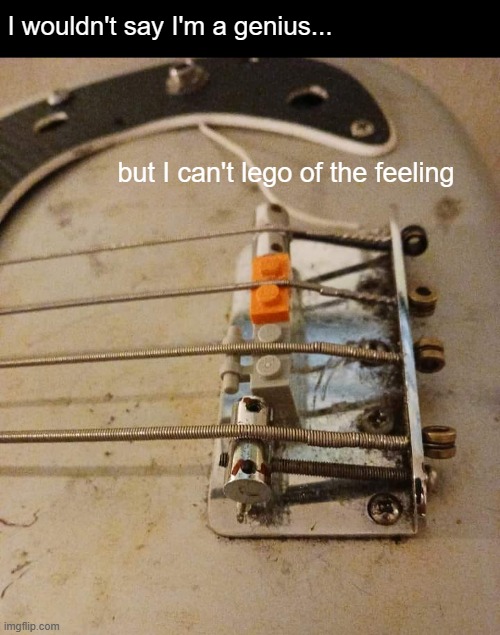 I wouldn't say I'm a genius... but I can't lego of the feeling | image tagged in funny,puns,legos | made w/ Imgflip meme maker