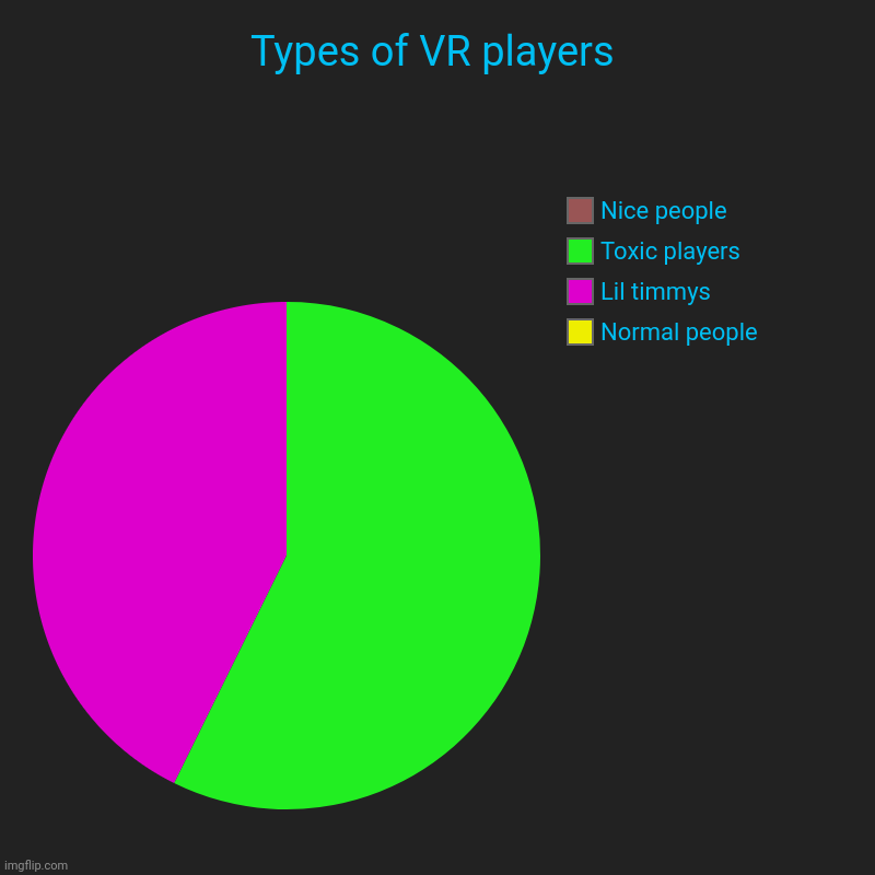 Types of VR players | Normal people, Lil timmys , Toxic players, Nice people | image tagged in charts,pie charts | made w/ Imgflip chart maker