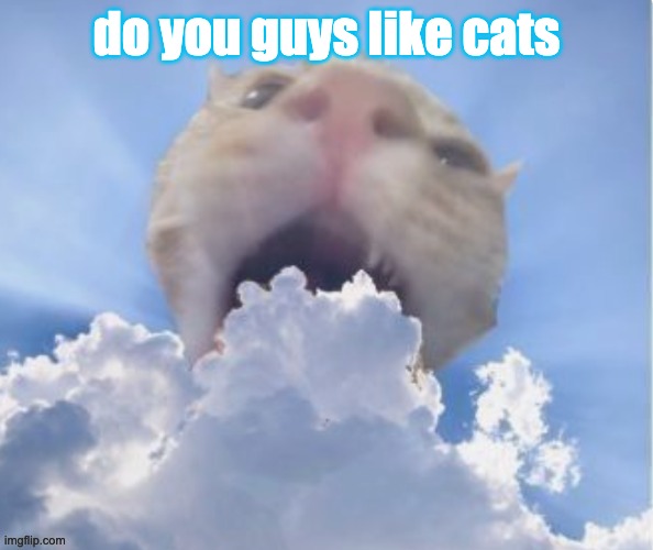 cat eating cloud | do you guys like cats | image tagged in cat eating cloud | made w/ Imgflip meme maker