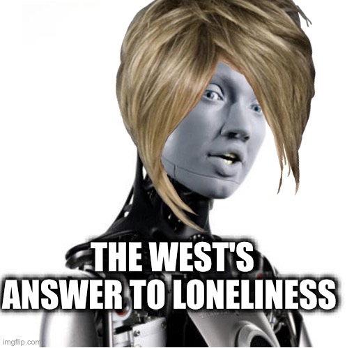 THE WEST'S ANSWER TO LONELINESS | image tagged in memes,ai,transhumanism,technology,civilization,destruction of nature | made w/ Imgflip meme maker