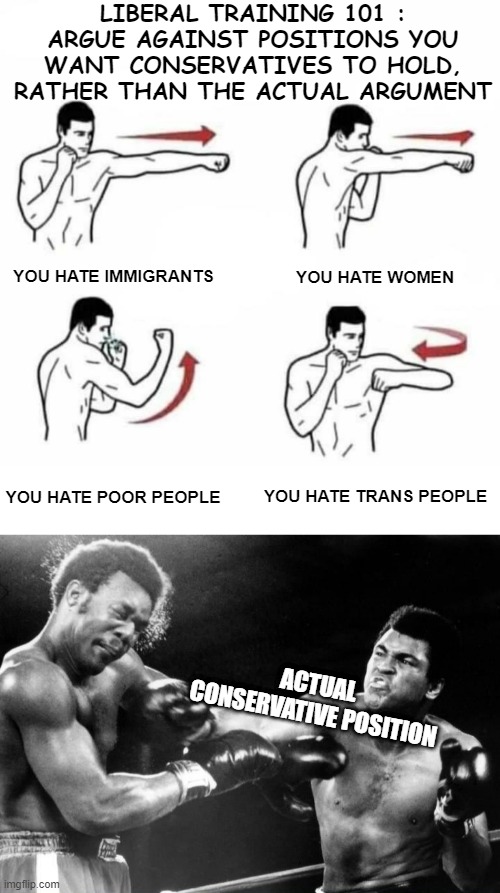 screaming, wailing, blocking cameras, damaging property, running away, getting boo'd by audience... same every time | LIBERAL TRAINING 101 : ARGUE AGAINST POSITIONS YOU WANT CONSERVATIVES TO HOLD, RATHER THAN THE ACTUAL ARGUMENT; YOU HATE WOMEN; YOU HATE IMMIGRANTS; YOU HATE TRANS PEOPLE; YOU HATE POOR PEOPLE; ACTUAL CONSERVATIVE POSITION | image tagged in punch combo,george foreman getting punched by muhammad ali | made w/ Imgflip meme maker