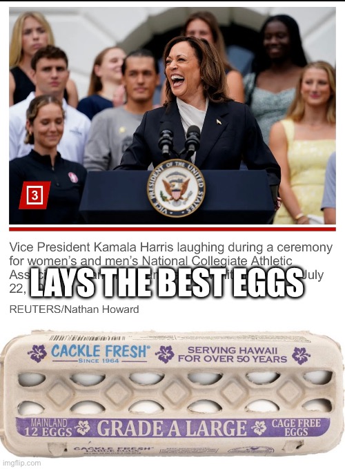 LAYS THE BEST EGGS | image tagged in cackle fresh | made w/ Imgflip meme maker