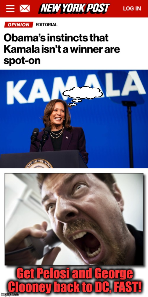 Time to "save democracy" again! | Get Pelosi and George Clooney back to DC, FAST! | image tagged in memes,shouter,kamala harris,democrats,democracy,diversity hyena | made w/ Imgflip meme maker