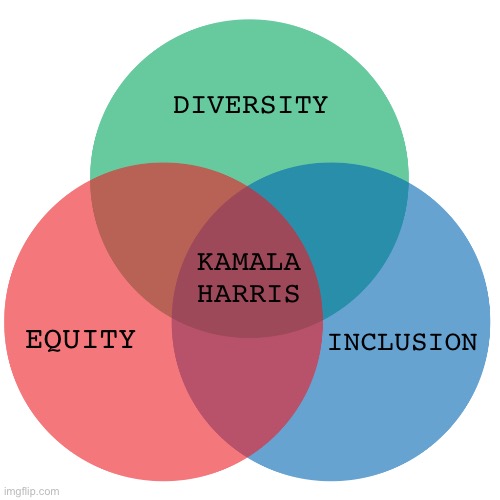 I LOVE VENN DIAGRAMS!!! | DIVERSITY; KAMALA HARRIS; INCLUSION; EQUITY | image tagged in venn diagram,kamala,diversity,equity,inclusion,dei | made w/ Imgflip meme maker