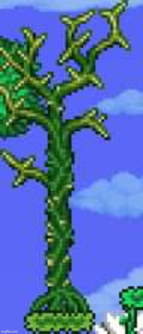 We getting a new tree type for 1.4.5 or something? (Kinda looks like an Ashwood Tree with a cactus retexture ngl) | image tagged in terraria,video games,news,announcement,update,spoilers | made w/ Imgflip meme maker