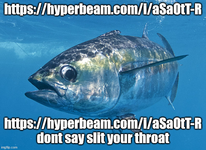 https://hyperbeam.com/i/aSaOtT-R | https://hyperbeam.com/i/aSaOtT-R; https://hyperbeam.com/i/aSaOtT-R
dont say slit your throat | image tagged in tuna fish | made w/ Imgflip meme maker