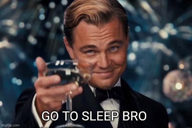 Go to sleep bro | GO TO SLEEP BRO | image tagged in memes,leonardo dicaprio cheers,funny,funny memes,meme,fun | made w/ Imgflip meme maker