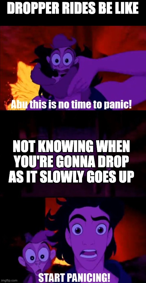 Relatable? | DROPPER RIDES BE LIKE; NOT KNOWING WHEN YOU'RE GONNA DROP AS IT SLOWLY GOES UP | image tagged in abu panic | made w/ Imgflip meme maker