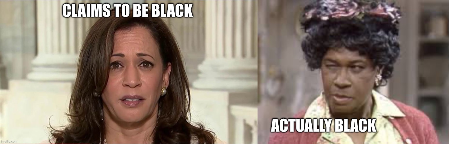 Does this look “black” to you? | CLAIMS TO BE BLACK; ACTUALLY BLACK | image tagged in kamala harris,aunt esther | made w/ Imgflip meme maker