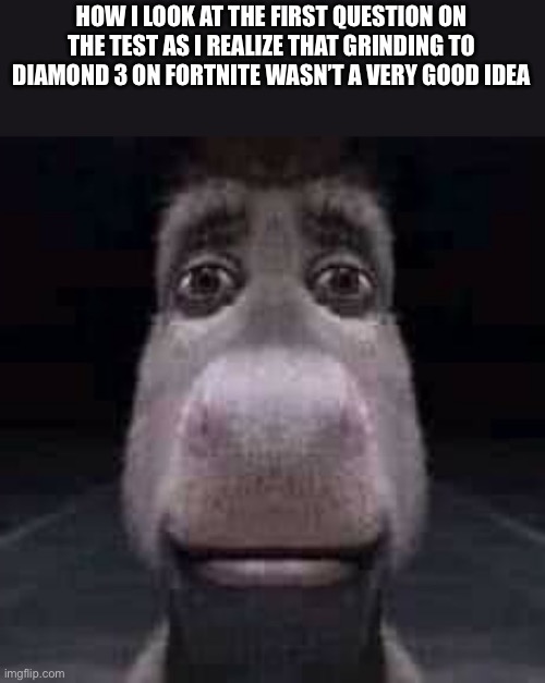 Well, that wasn’t very smart | HOW I LOOK AT THE FIRST QUESTION ON THE TEST AS I REALIZE THAT GRINDING TO DIAMOND 3 ON FORTNITE WASN’T A VERY GOOD IDEA | image tagged in donkey staring | made w/ Imgflip meme maker