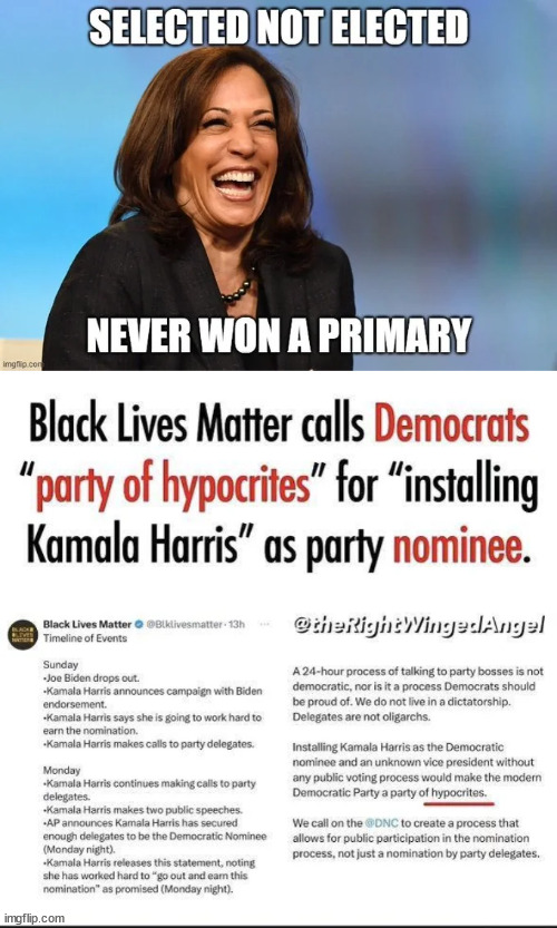Democrats - Party of Hypocrites... according to BLM | image tagged in democrats,party of hypocrites,blm | made w/ Imgflip meme maker