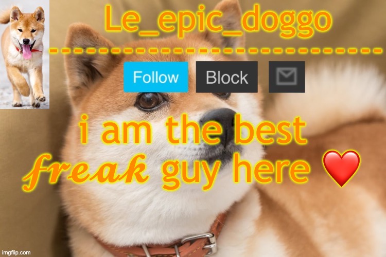 epic doggo's temp back in old fashion | i am the best 𝓯𝓻𝓮𝓪𝓴 guy here ❤️ | image tagged in epic doggo's temp back in old fashion | made w/ Imgflip meme maker