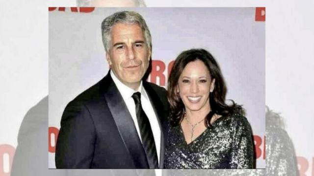 Epstein and Kamala Blank Meme Template