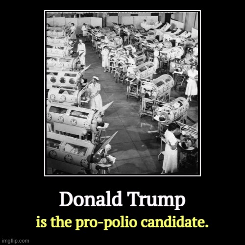 Pro-whooping cough, pro-measles. How many votes is that, Donnie? | Donald Trump | is the pro-polio candidate. | image tagged in funny,demotivationals,trump,anti vax,polio,iron lung | made w/ Imgflip demotivational maker