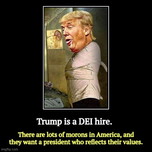 A MAGA brain repository (suppository). | Trump is a DEI hire. | There are lots of morons in America, and they want a president who reflects their values. | image tagged in funny,demotivationals,trump,diversity,morons | made w/ Imgflip demotivational maker