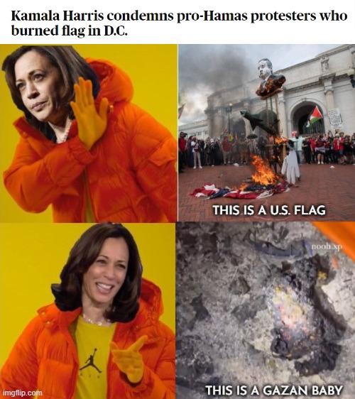 hypocrite Kamala | image tagged in nakba,gaza genocide,american flag,kamala,gaza,hypocrite | made w/ Imgflip meme maker