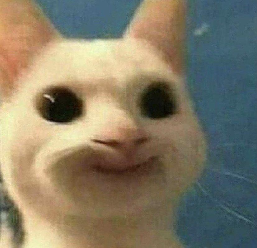 funny cat smirk Blank Meme Template