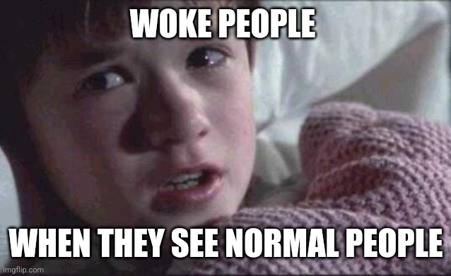 I See Dead People Meme | WOKE PEOPLE; WHEN THEY SEE NORMAL PEOPLE | image tagged in memes,i see dead people,triggered liberal,woke,college liberal,liberal logic | made w/ Imgflip meme maker