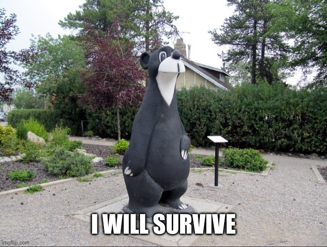 I WILL SURVIVE | made w/ Imgflip meme maker