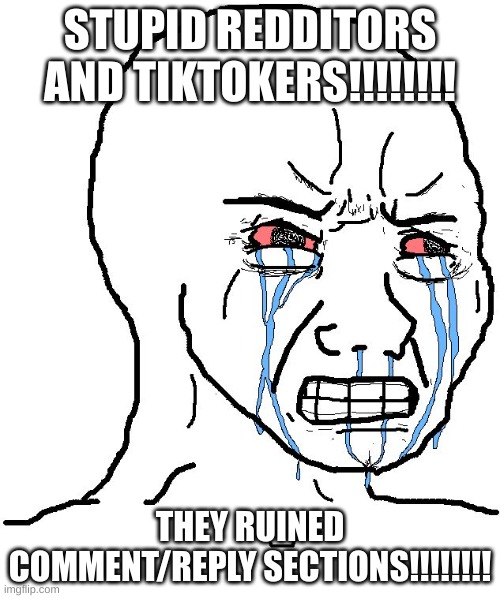 fr ig | STUPID REDDITORS AND TIKTOKERS!!!!!!!! THEY RUINED COMMENT/REPLY SECTIONS!!!!!!!! | image tagged in angry wojak,reddit,tiktok,imgflip,youtube,corny joke | made w/ Imgflip meme maker