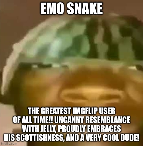 crap post 3: emo snake | EMO SNAKE; THE GREATEST IMGFLIP USER OF ALL TIME!! UNCANNY RESEMBLANCE WITH JELLY, PROUDLY EMBRACES HIS SCOTTISHNESS, AND A VERY COOL DUDE! | image tagged in shitpost | made w/ Imgflip meme maker