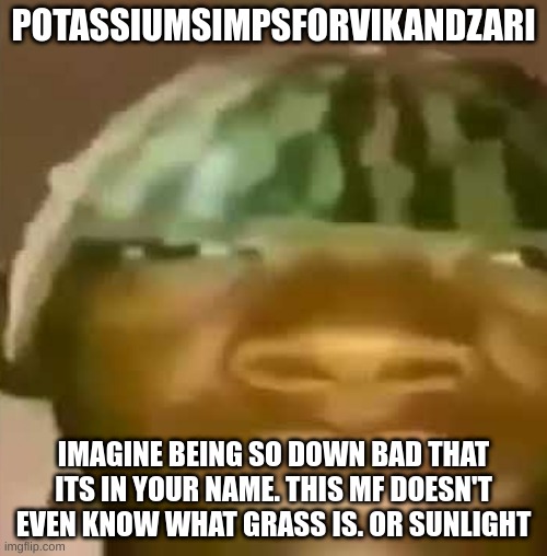 Crap post 5: PotassiumSimpsForVikAndZari | POTASSIUMSIMPSFORVIKANDZARI; IMAGINE BEING SO DOWN BAD THAT ITS IN YOUR NAME. THIS MF DOESN'T EVEN KNOW WHAT GRASS IS. OR SUNLIGHT | image tagged in shitpost | made w/ Imgflip meme maker
