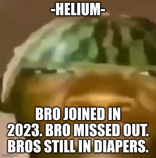 crap post 7: -Helium- | -HELIUM-; BRO JOINED IN 2023. BRO MISSED OUT. BROS STILL IN DIAPERS. | image tagged in shitpost | made w/ Imgflip meme maker