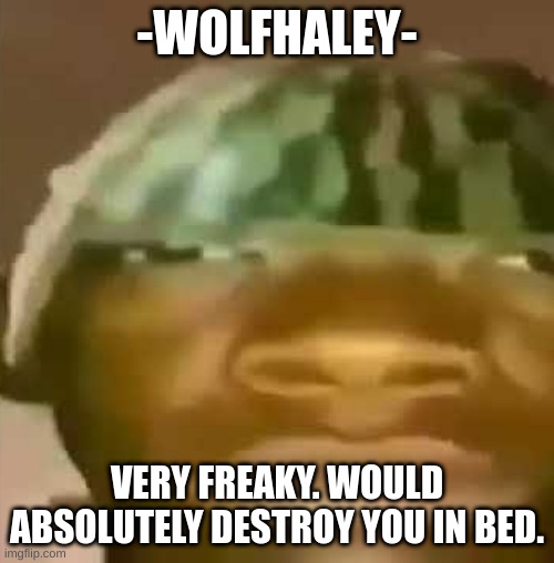 crap post 8: -WolfHaley- | -WOLFHALEY-; VERY FREAKY. WOULD ABSOLUTELY DESTROY YOU IN BED. | image tagged in shitpost | made w/ Imgflip meme maker