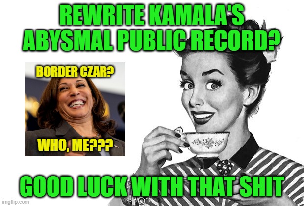 Rewriting History | REWRITE KAMALA'S ABYSMAL PUBLIC RECORD? BORDER CZAR? WHO, ME??? GOOD LUCK WITH THAT SHIT | image tagged in 1950s housewife,kamala harris,rewriting history | made w/ Imgflip meme maker