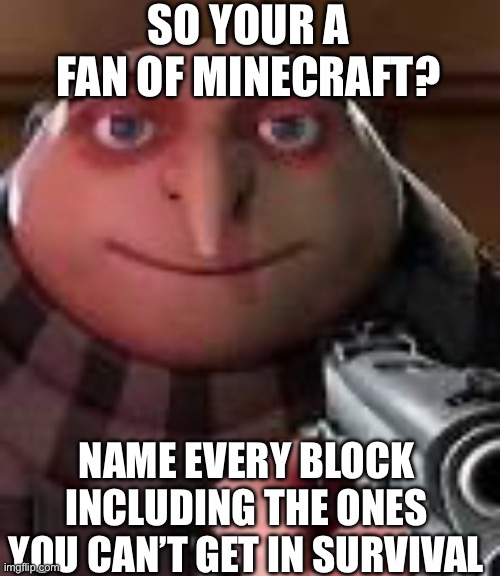 So your a fan of Minecraft? | SO YOUR A FAN OF MINECRAFT? NAME EVERY BLOCK INCLUDING THE ONES YOU CAN’T GET IN SURVIVAL | image tagged in gru with gun,meme,minecraft | made w/ Imgflip meme maker