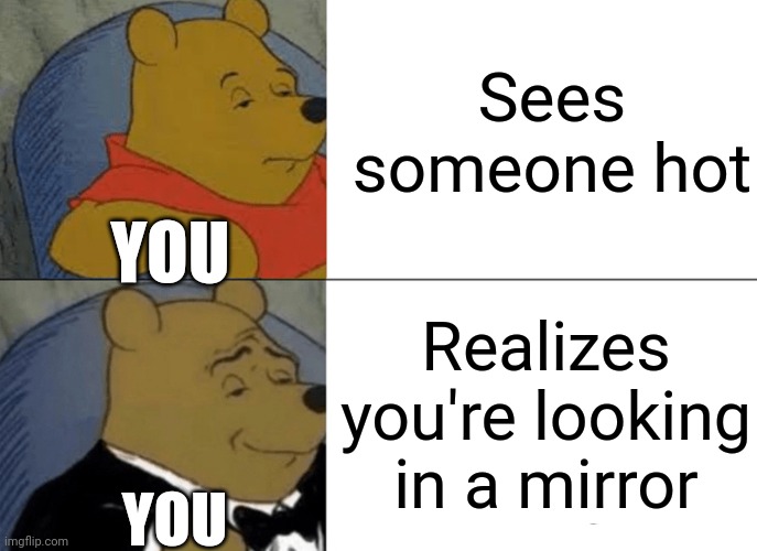 Hot | Sees someone hot; YOU; Realizes you're looking in a mirror; YOU | image tagged in memes,tuxedo winnie the pooh | made w/ Imgflip meme maker