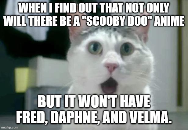 We might see them in a couple of episodes just like on "Shaggy & Scooby-Doo Get a Clue!" | WHEN I FIND OUT THAT NOT ONLY WILL THERE BE A "SCOOBY DOO" ANIME; BUT IT WON'T HAVE FRED, DAPHNE, AND VELMA. | image tagged in memes,omg cat,scooby doo,anime,japan,cartoon network | made w/ Imgflip meme maker