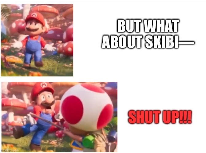 Toad hitting Mario | BUT WHAT ABOUT SKIBI—; SHUT UP!!! | image tagged in toad hitting mario | made w/ Imgflip meme maker