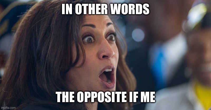 kamala harriss | IN OTHER WORDS THE OPPOSITE IF ME | image tagged in kamala harriss | made w/ Imgflip meme maker